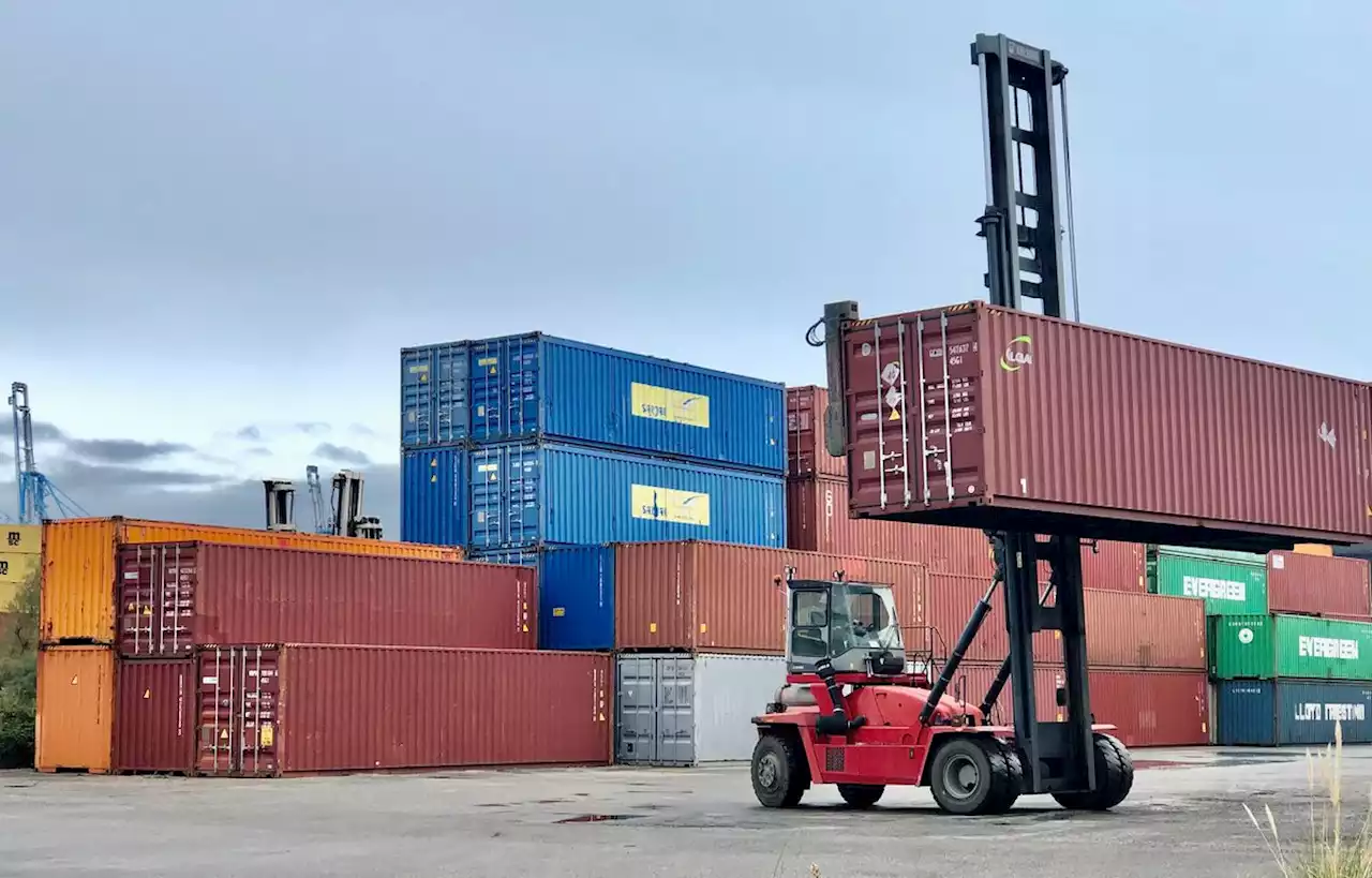 Dix travailleurs du port de Marseille interpellés pour des vols