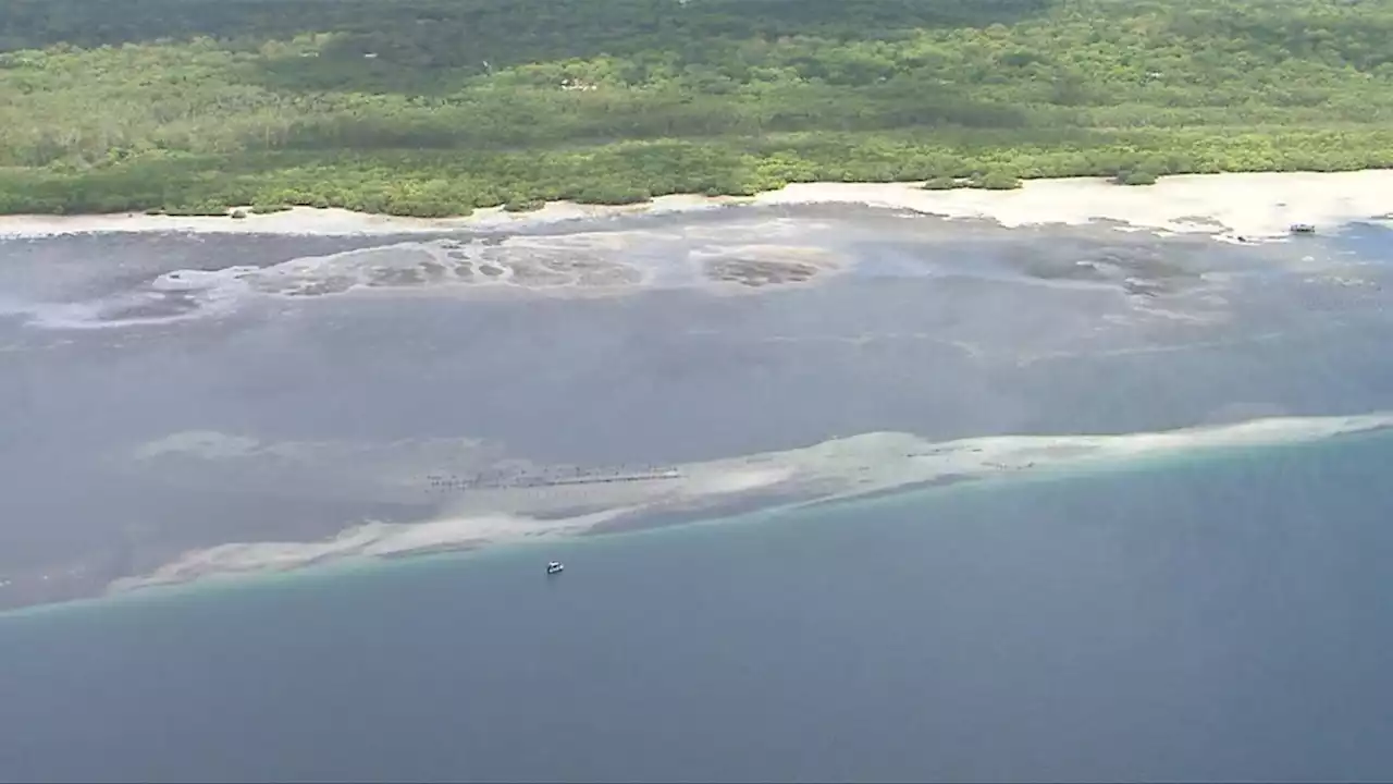 Fresh development after crocodile spotted at popular Queensland swimming spot