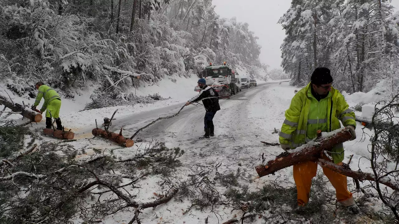 Desde árboles caídos hasta resbalones en las calles: cómo evitar los peligros del temporal