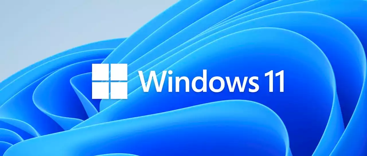 Descubren grave bug en Windows 11