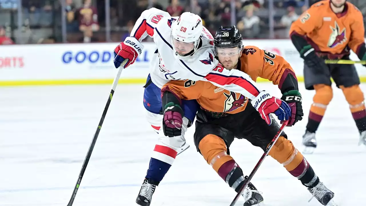 Lackluster Arizona Coyotes blanked by Washington Capitals