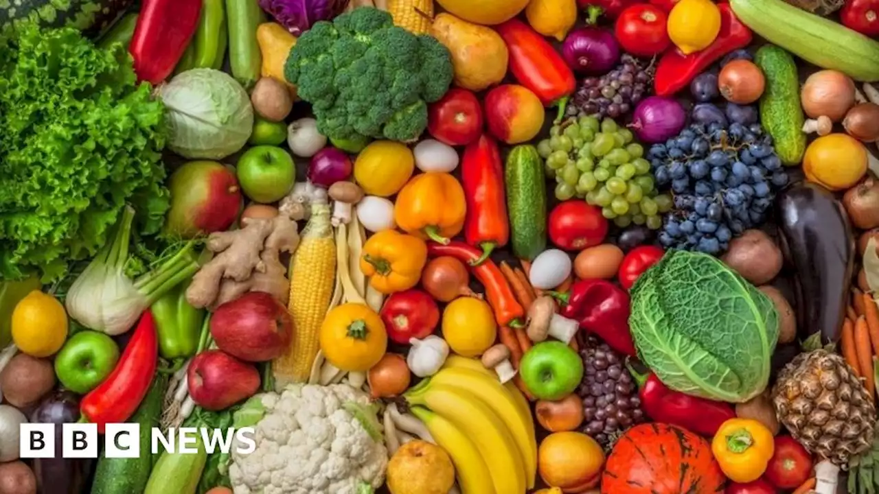 Cambridge City Council vegan buffet trial fails to impress