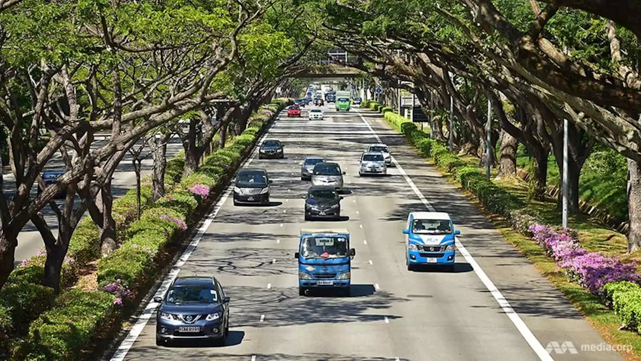 Fibre issue cause of 14-hour downtime for expressway traffic camera feeds: LTA