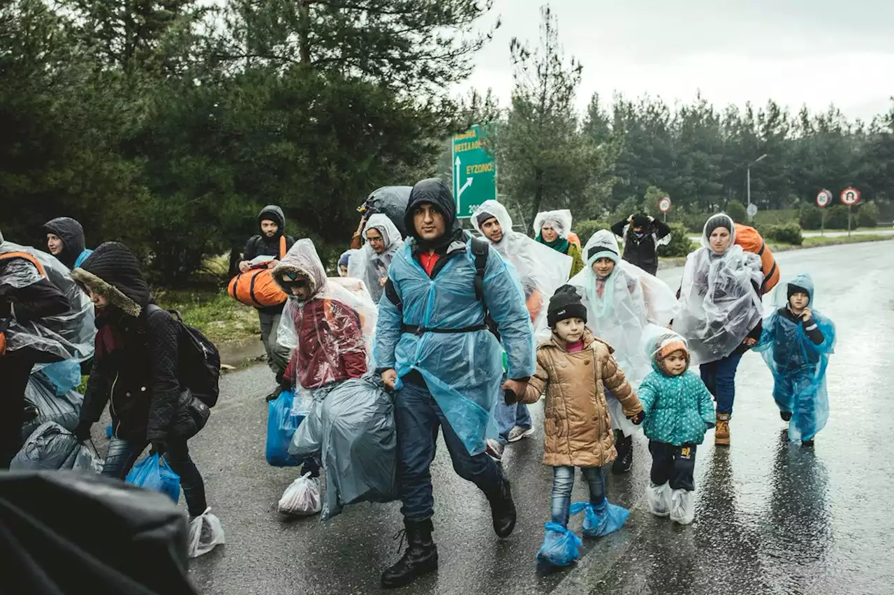 FDP: „Mehr legale Migration in den Arbeitsmarkt, weniger illegale in den Sozialstaat!'