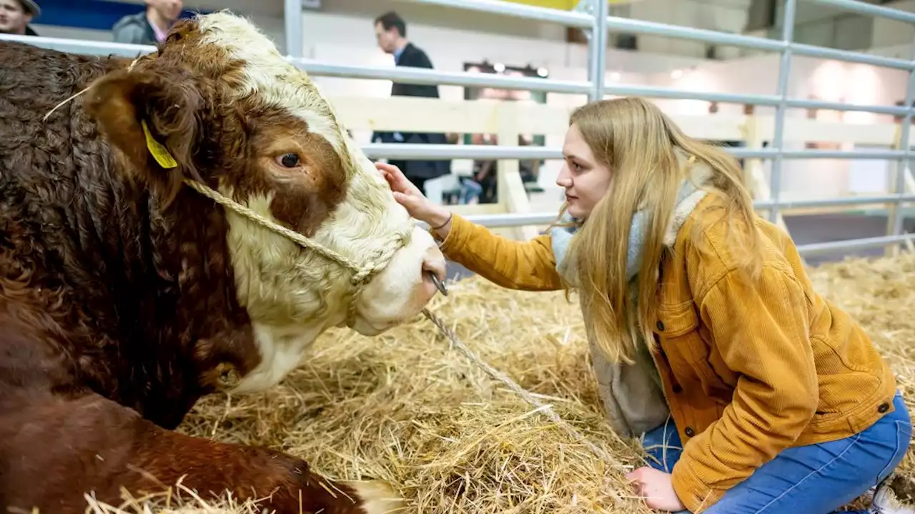 Mit Insekten-Eis und Robo-Raclette – Grüne Woche startet - B.Z. – Die Stimme Berlins