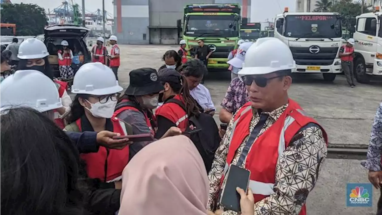 Buwas Ungkap, Ternyata Ada Ini di Balik Harga Beras Terbang