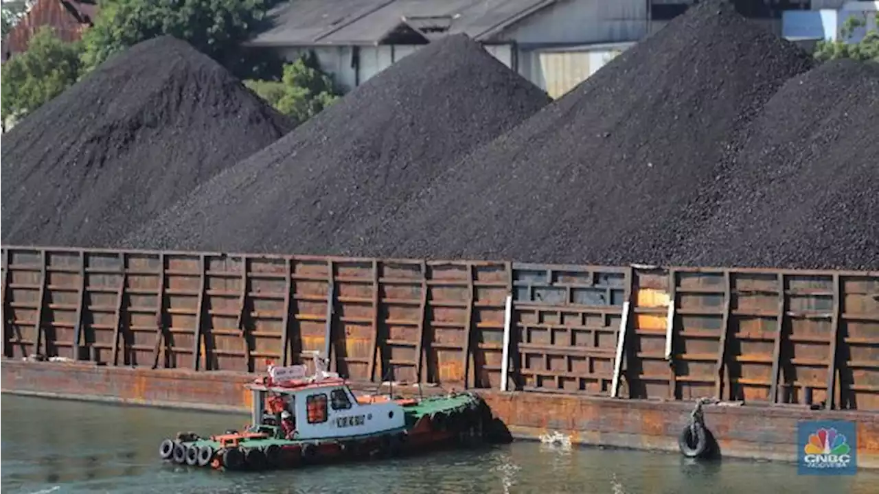 Gimana Gak 'Meledak', 65% Perusahaan Batu Bara Kerek Produksi