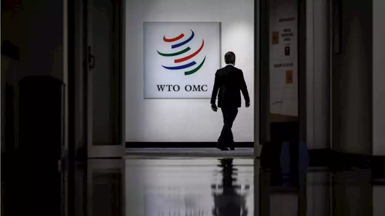 Jokowi Utus Perempuan Ini Lawan Eropa di WTO, Ini Updatenya..