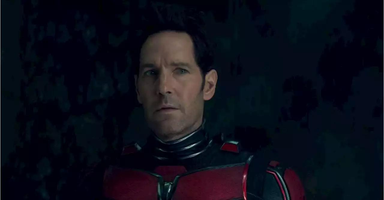 Ant-Man and the Wasp: Quantumania Star Paul Rudd Reveals the MCU Film That Most Influenced the Sequel