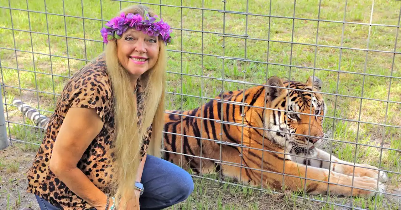 Tiger King star Carole Baskin says ex is 'alive and well' and no one noticed