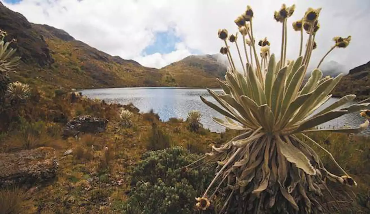 Las razones por las que protestan mineros y campesinos del Páramo de Santurbán