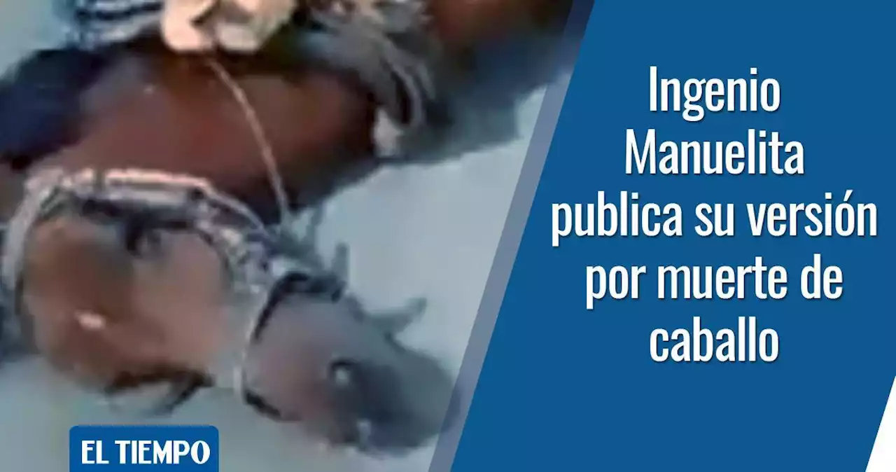 Ingenio lamenta muerte de caballo y cuenta su versión de lo ocurrido