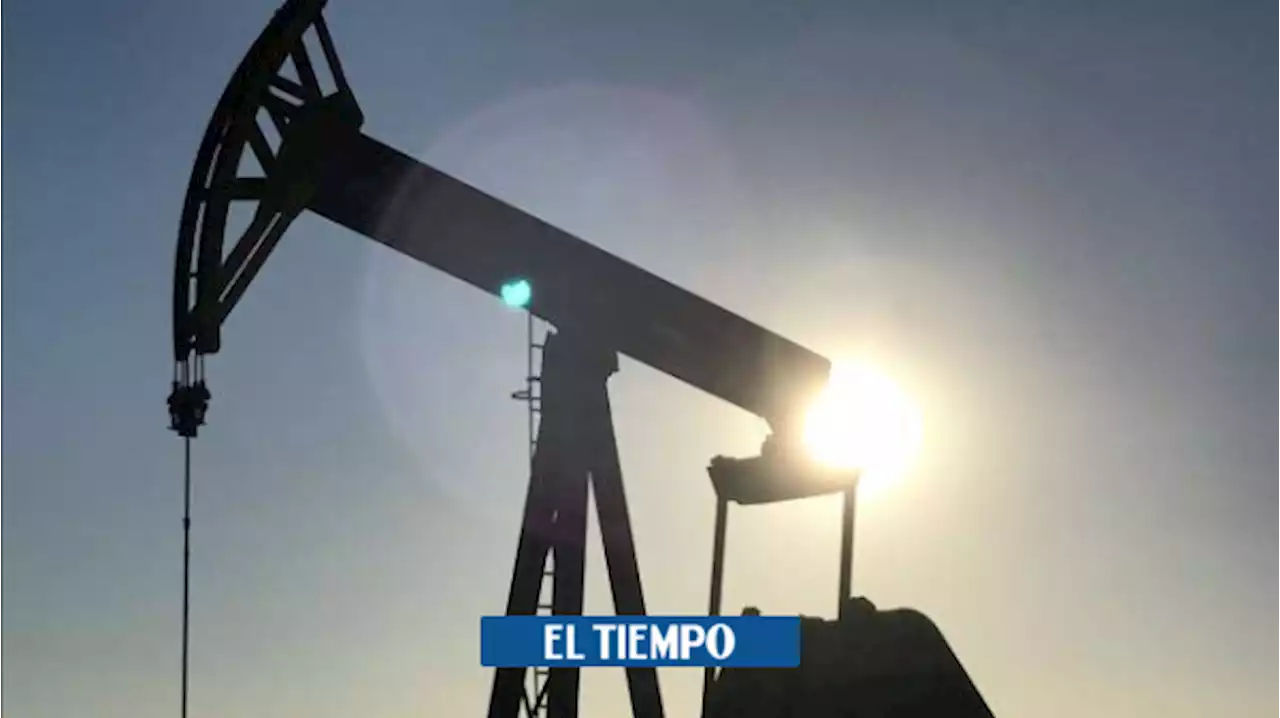 Fuertes cuestionamientos de petroleras por anuncio de no firmar nuevos contratos