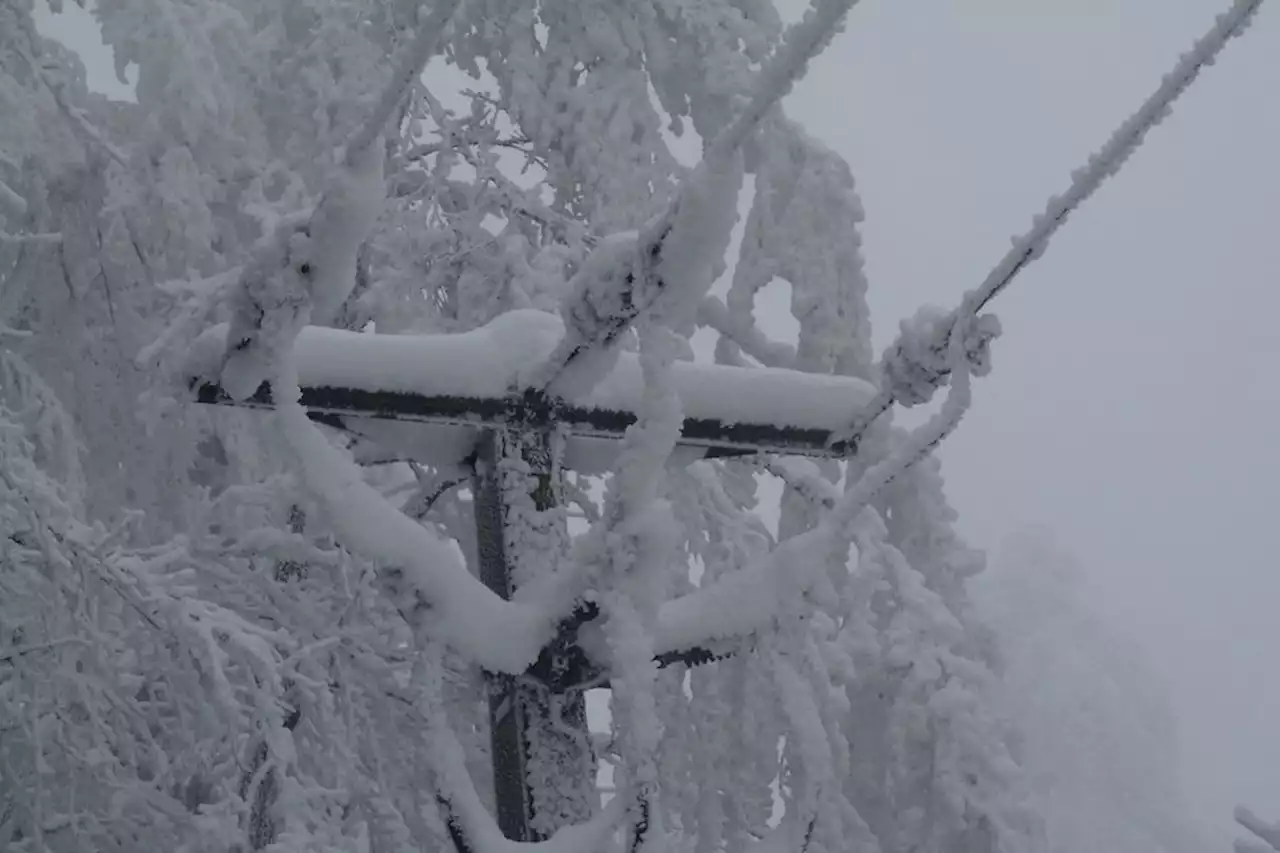 METEO. Hérault et Aude : 5 300 clients d'ENEDIS sans électricité après les fortes chutes de neige