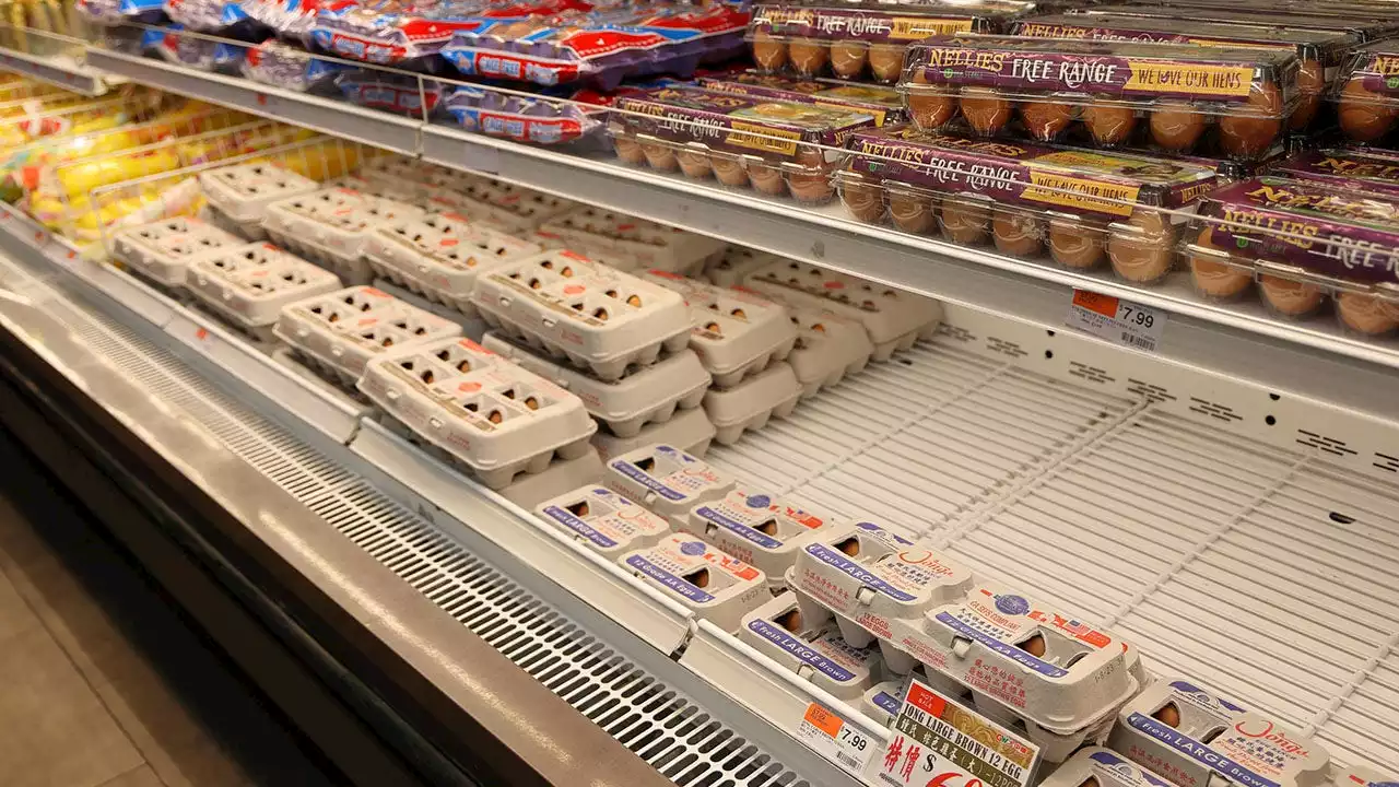 US border authorities report increase in egg smuggling attempts as poultry prices soar amid inflation