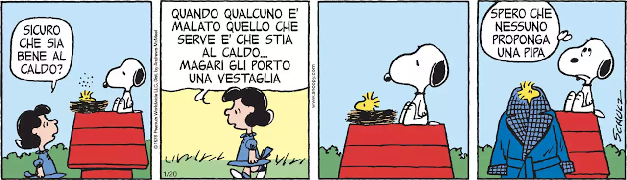 Peanuts 2023 gennaio 20 - Il Post