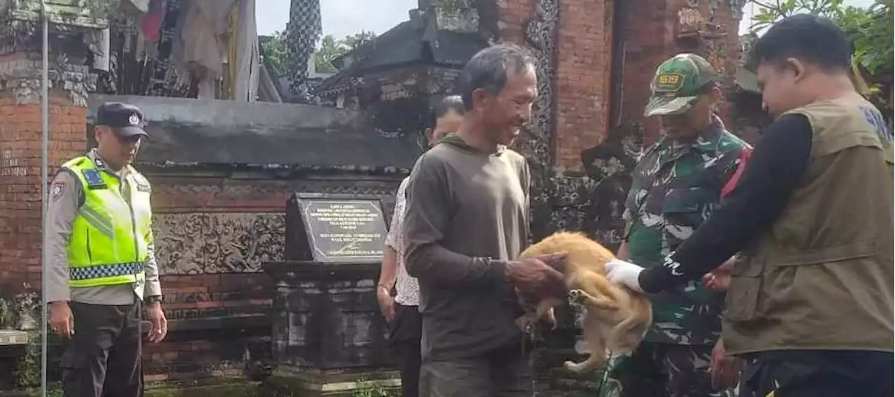 Lagi, Ditemukan Tiga Kasus Anjing Positif Rabies di Tabanan