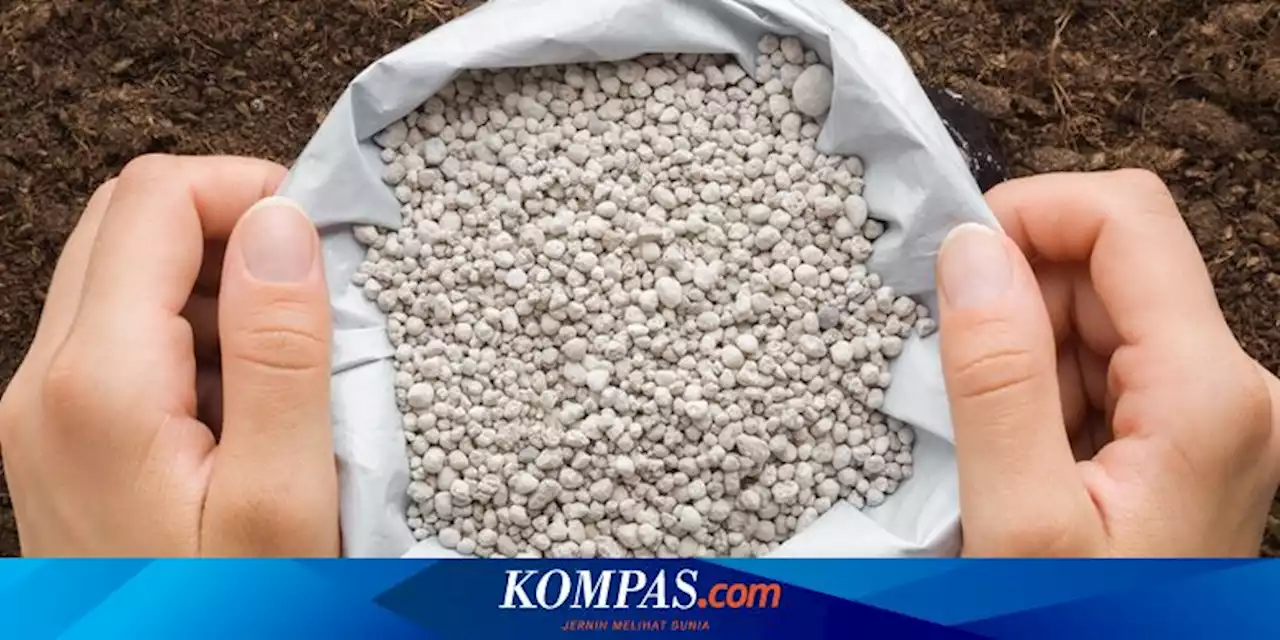 Pupuk Phonska: Kandungan, Karakteristik, dan Manfaatnya bagi Tanaman