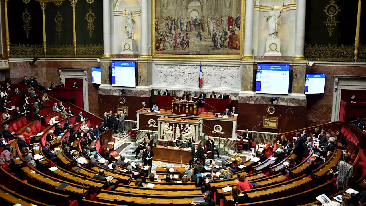 Deux nouveaux députés perdent leur siège à cause du vote électronique