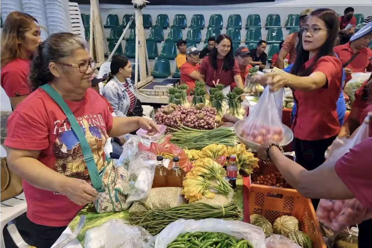 Ilocos Norte launches 1st Provincial Organic Agriculture Congress