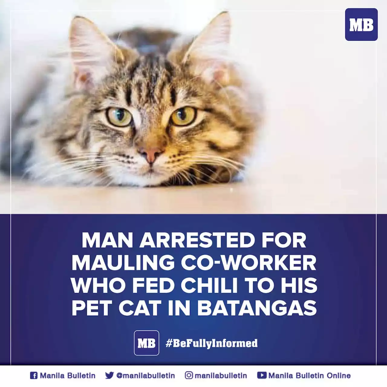 Man arrested for mauling co-worker who fed fur baby with chili in Batangas