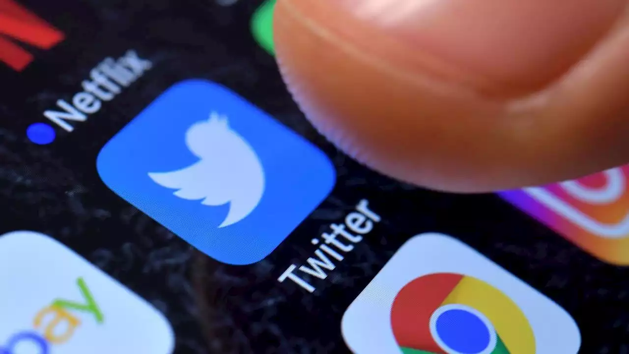 Twitter vende por 100.000 dólares su estatua del pajarito en una subasta | Minuto30