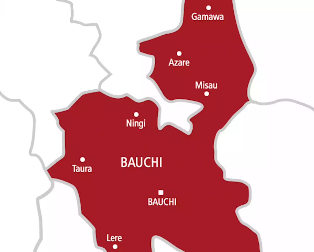 Bauchi police arrest four for stealing transformer gas - Punch Newspapers