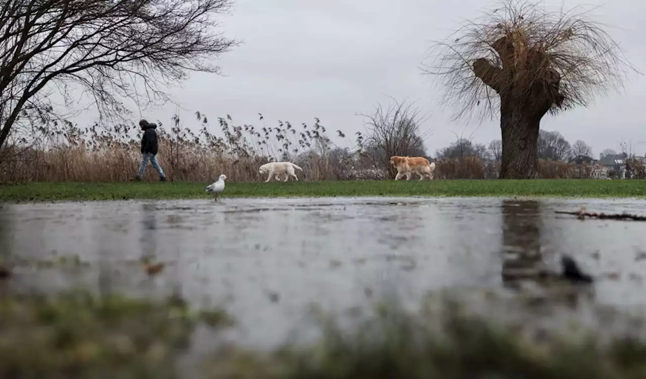 Jetzt doch wieder Winter: In Hamburg und im Norden wird es kalt und glatt