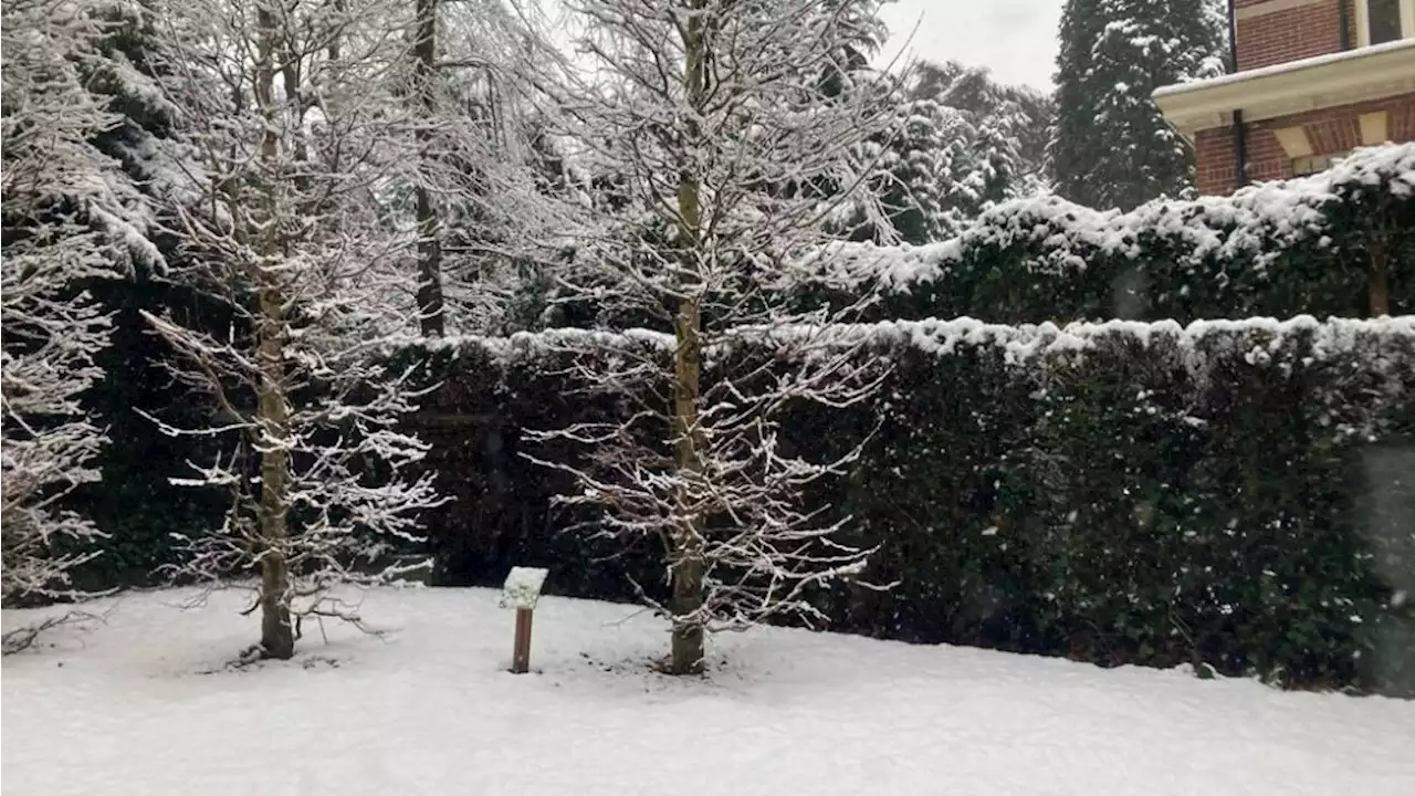 Sneeuw legt een witte deken over (deel van) de provincie