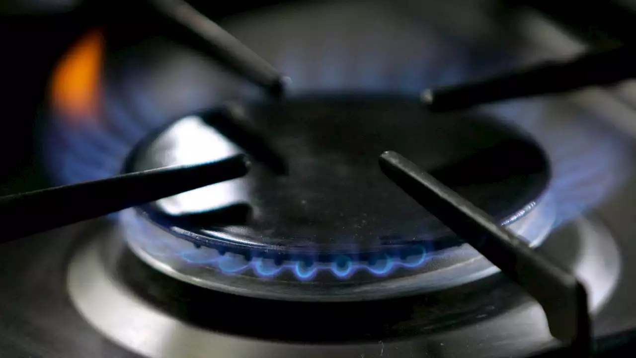 Gas stove culture war spreads to N.J. as top Republicans heat up the debate