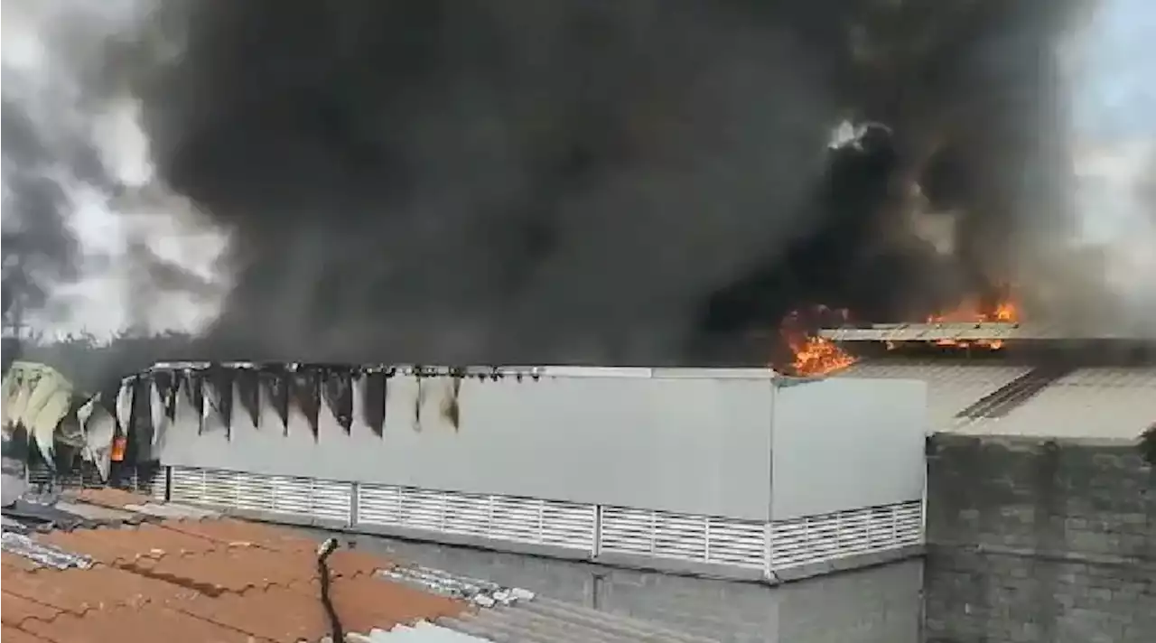 En video: Bomberos de Cali intentan controlar incendio en un almacén al sur de la ciudad