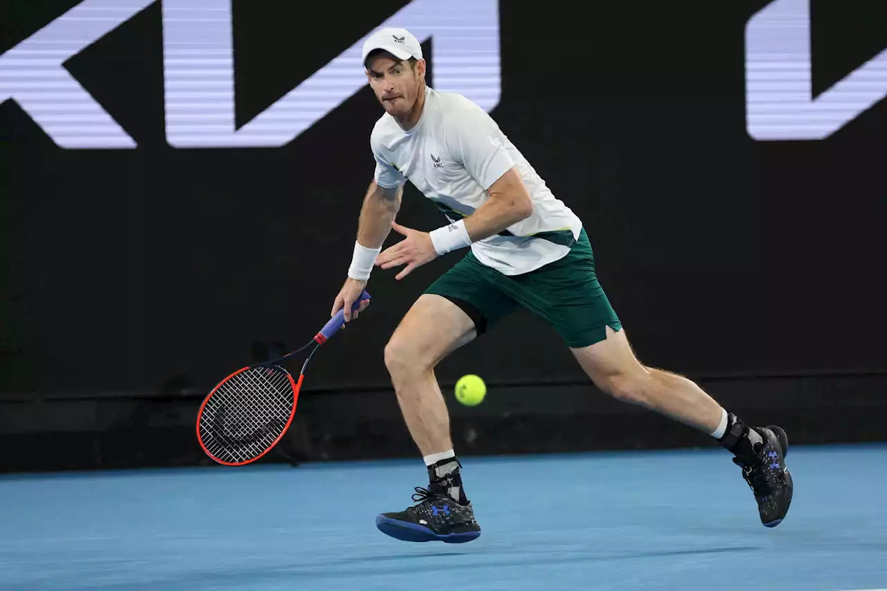 Australian Open picks: Andy Murray vs. Roberto Bautista-Agut prediction, odds