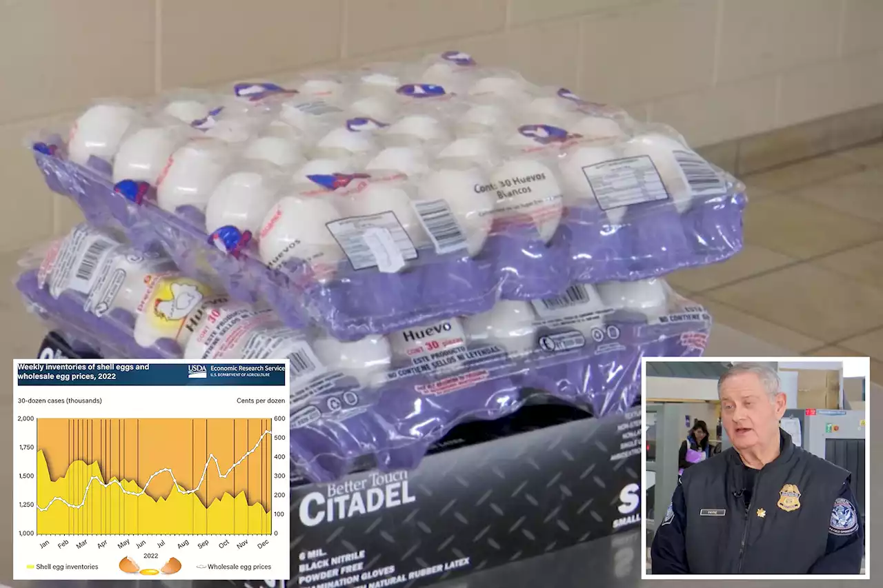 Egg smuggling up 108% at the US-Mexico border as prices skyrocket