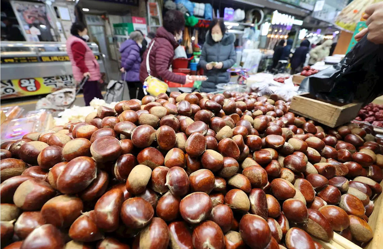 명절마다 남성은 거실, 여성은 부엌? 성평등 캠페인 '눈길'