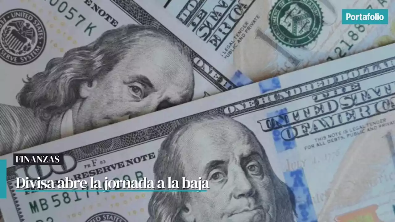 Pese a anuncio de Minminas, dólar abre a la baja y está en 4.600 pesos