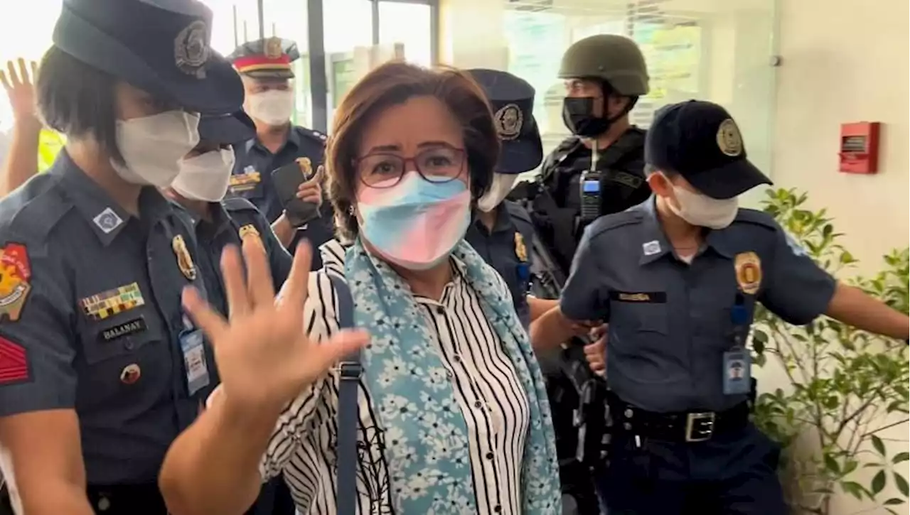 After Gigi Reyes' release, De Lima can ask SC for same writ, says ex-High Court spokesman