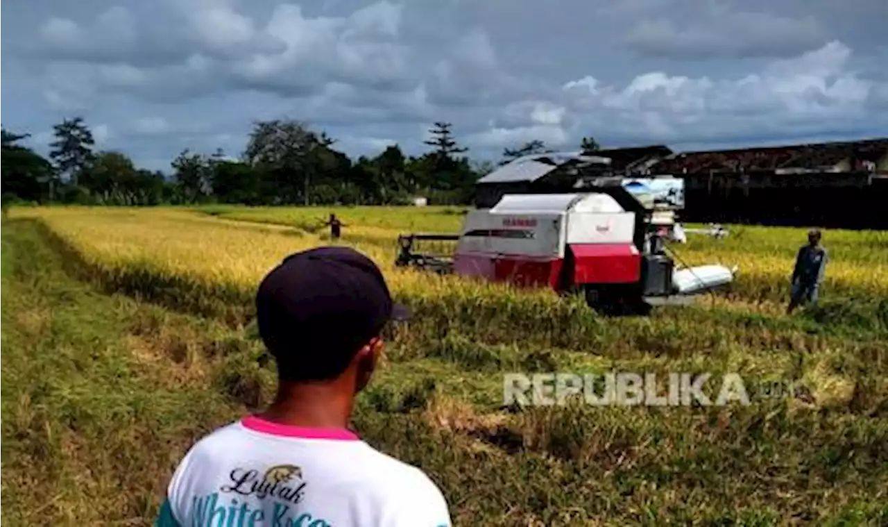 Bulog Bakal Beli 1 Juta Ton Beras Petani di Musim Panen Maret |Republika Online