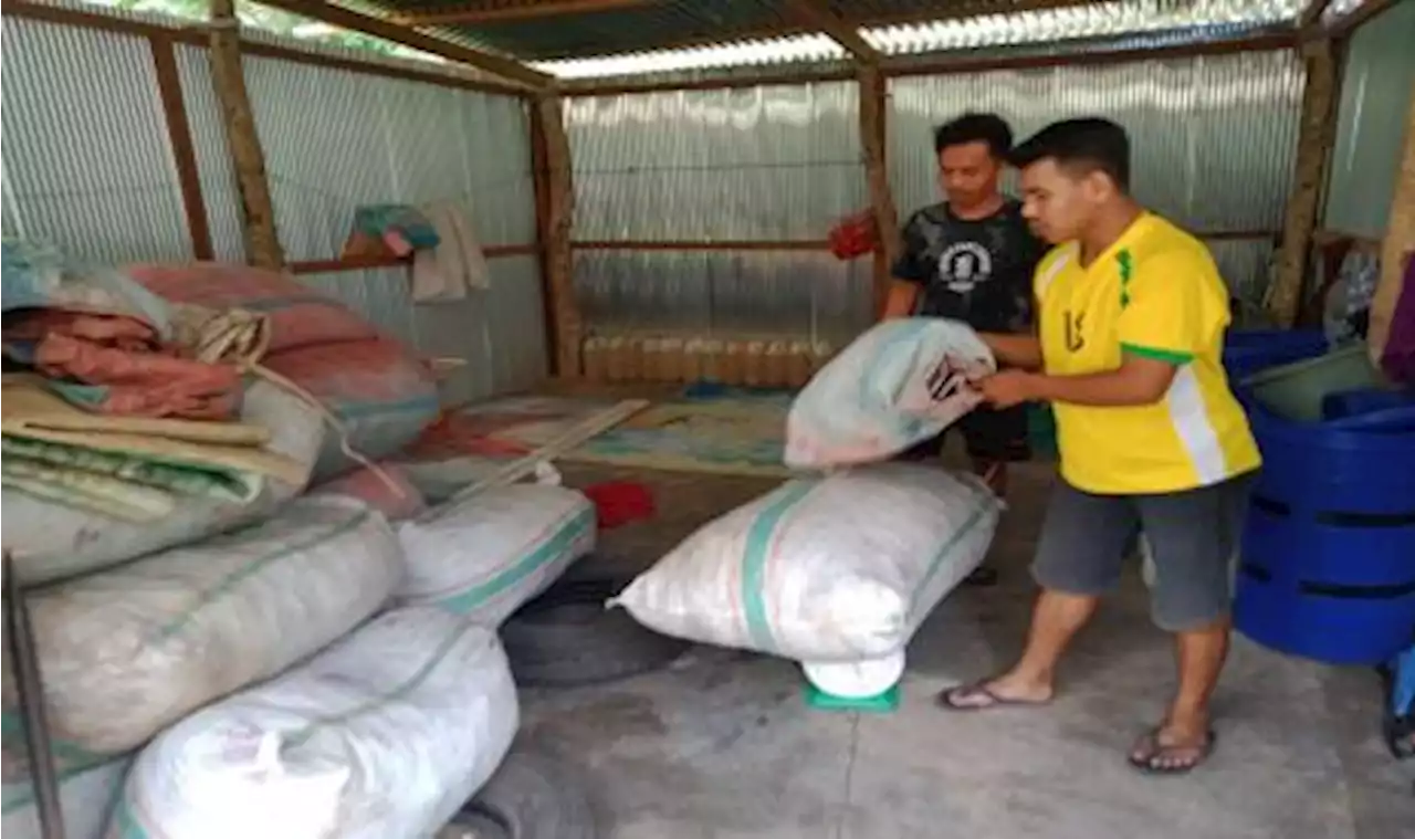 Petani Binaan Baznas Mulai Rasakan Penghasilan Sampingan dari Produk Turunan Kelapa |Republika Online