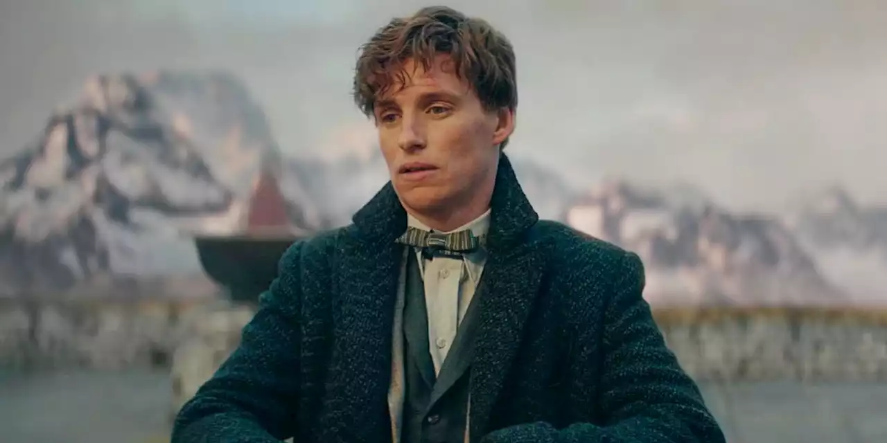 Harry Potter Franchise Future Addressed By Fantastic Beasts Star