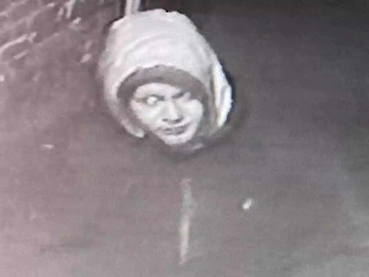 Police trying to identify man after £20,000 arson attack in Shrewsbury Abbey grounds