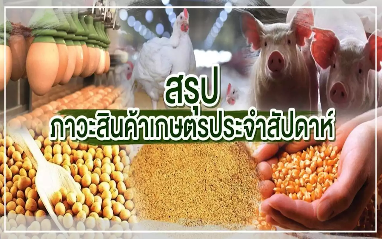 สรุปภาวะสินค้าเกษตรประจำสัปดาห์ วันที่ 16-20 มกราคม 2566 สยามรัฐ