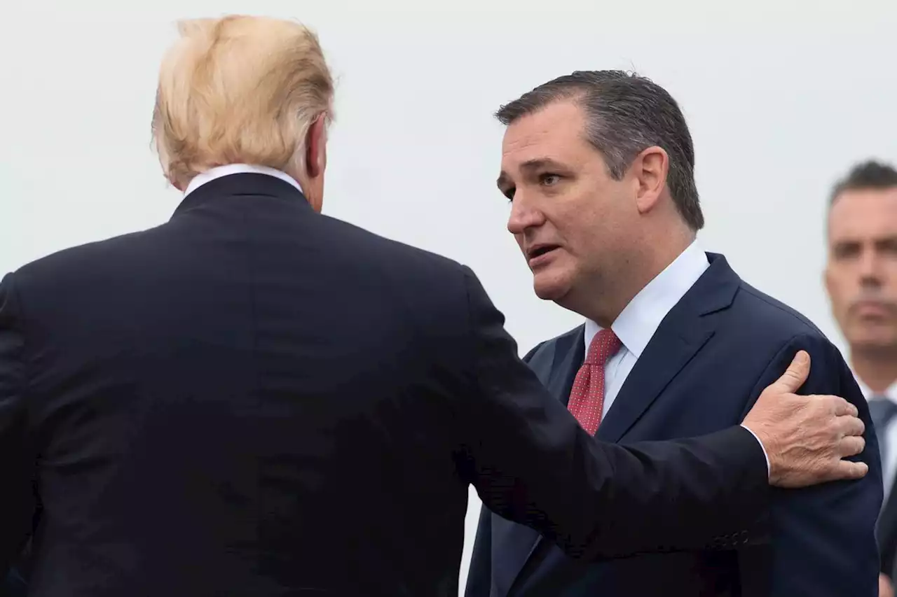 Did Trump's Tax Returns Reveal He Claimed Ted Cruz as Dependent?