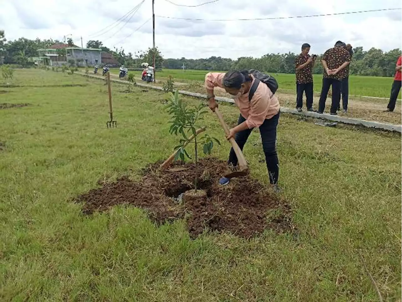 Atasi Stunting, Forkopimcam Polokarto Sukoharjo Tanam Alpukat