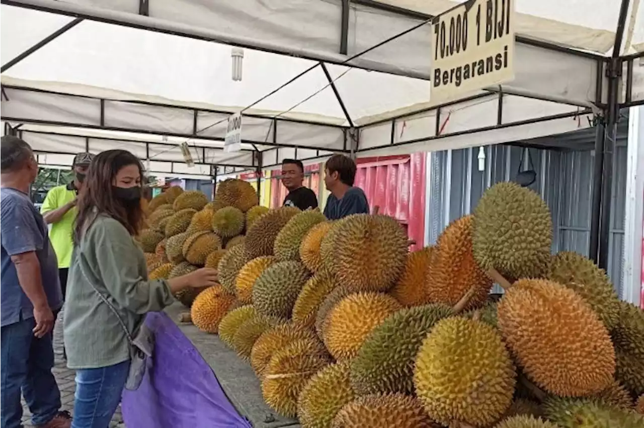 Luar Biasa! 700 Durian Ludes Terjual dalam 2 Hari di Pujasera Karanganyar