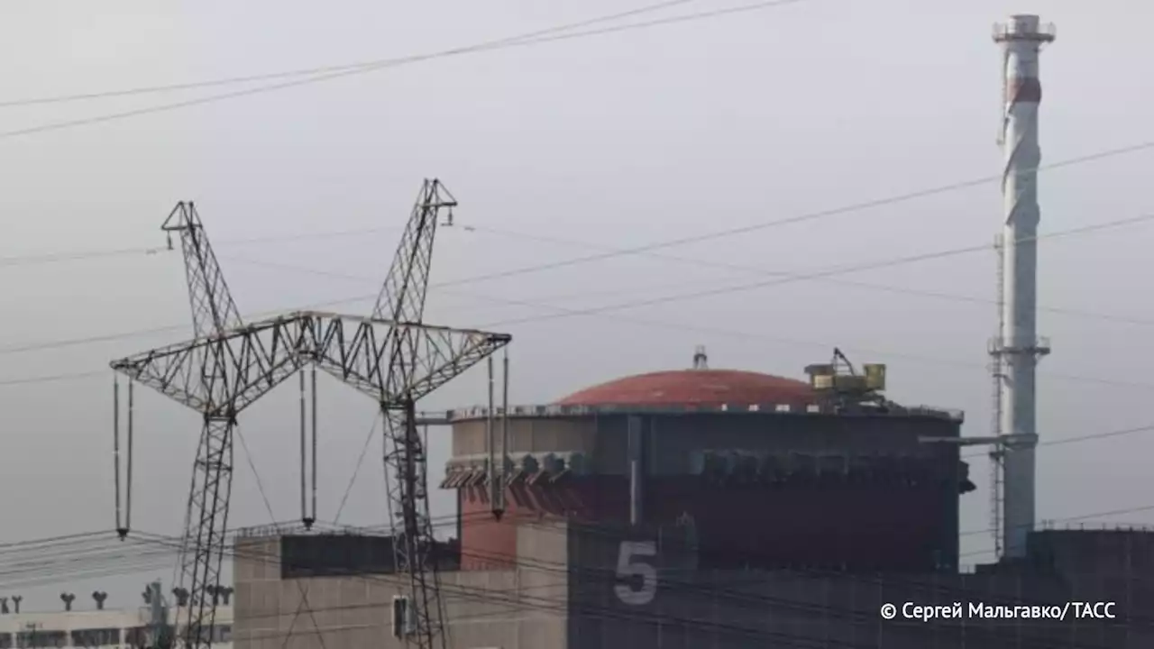 В Запорожье заявили, что тему зоны безопасности ЗАЭС вновь подняли из-за успехов РФ