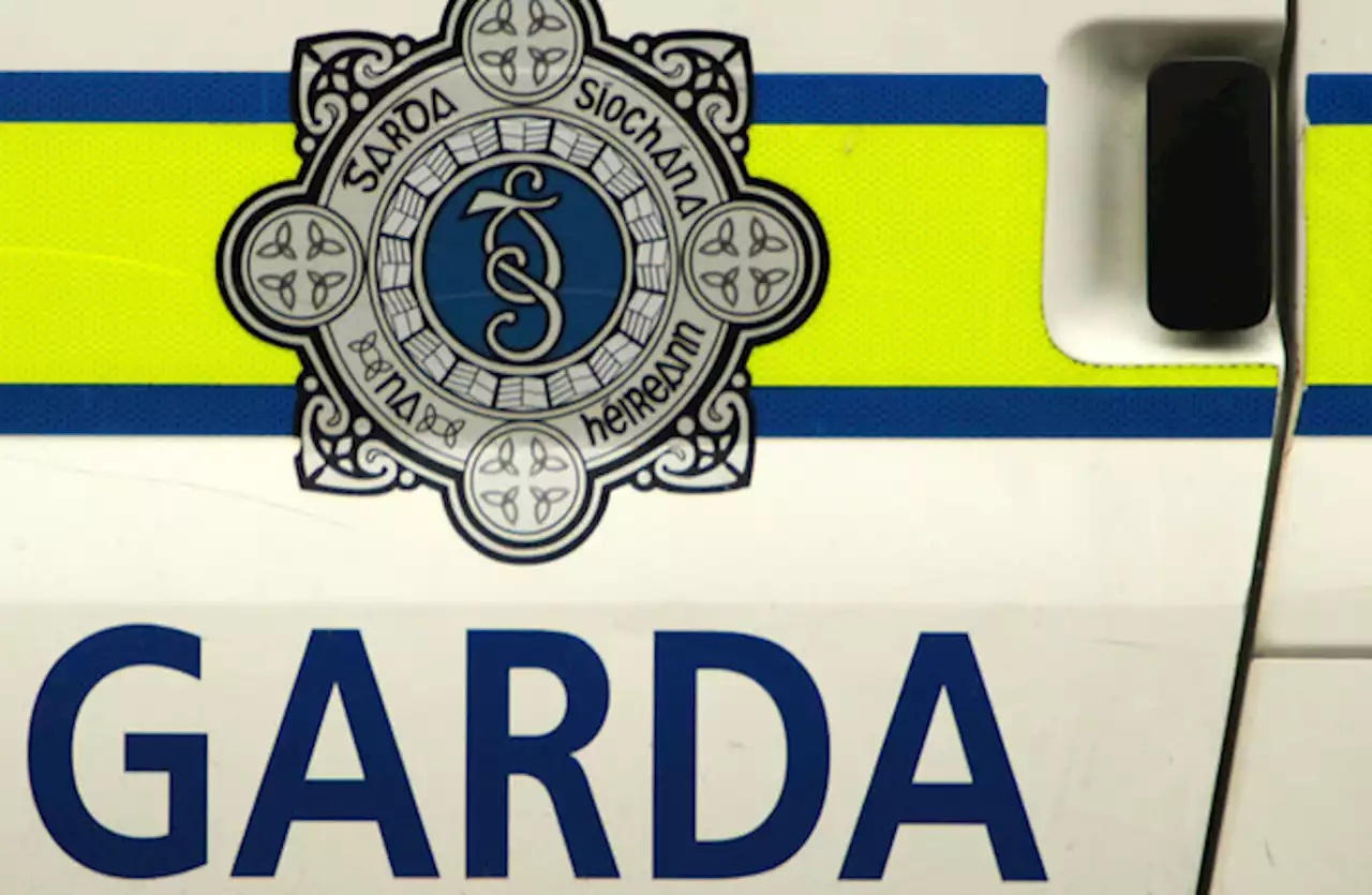 Internal garda 'process' underway into serious bullying allegation