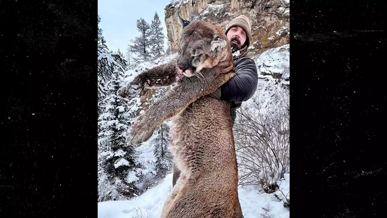 NFL's Derek Wolfe Followed Protocol In Mountain Lion Killing, Authorities Say