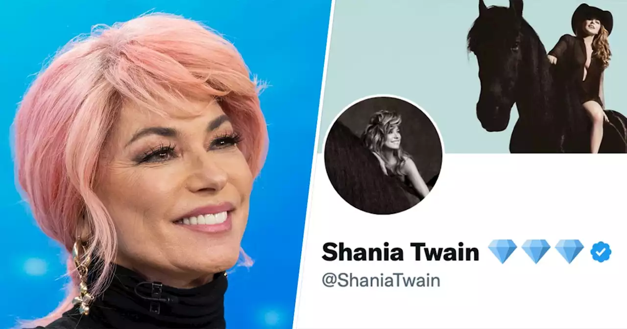 Shania Twain puts 3 diamond emoji on her Twitter profile. Here’s the special reason why