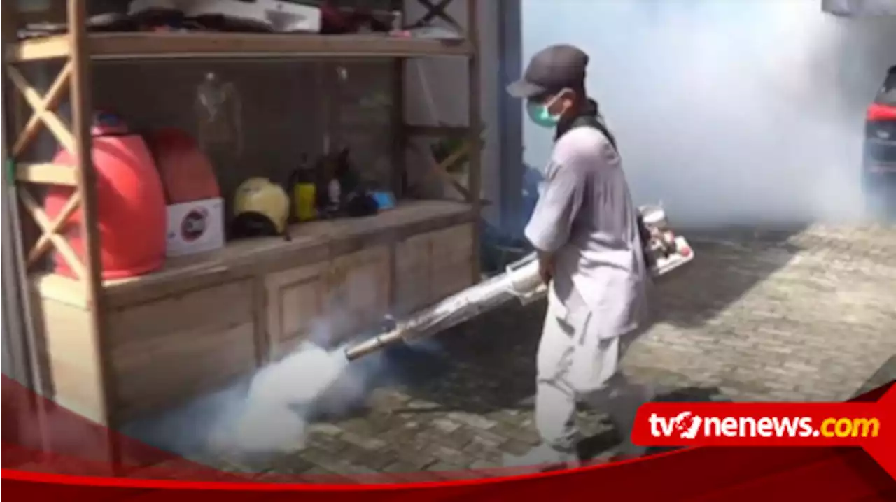 4 Warga Positif DBD, Dinkes Ngawi Fogging Lingkungan Pasien