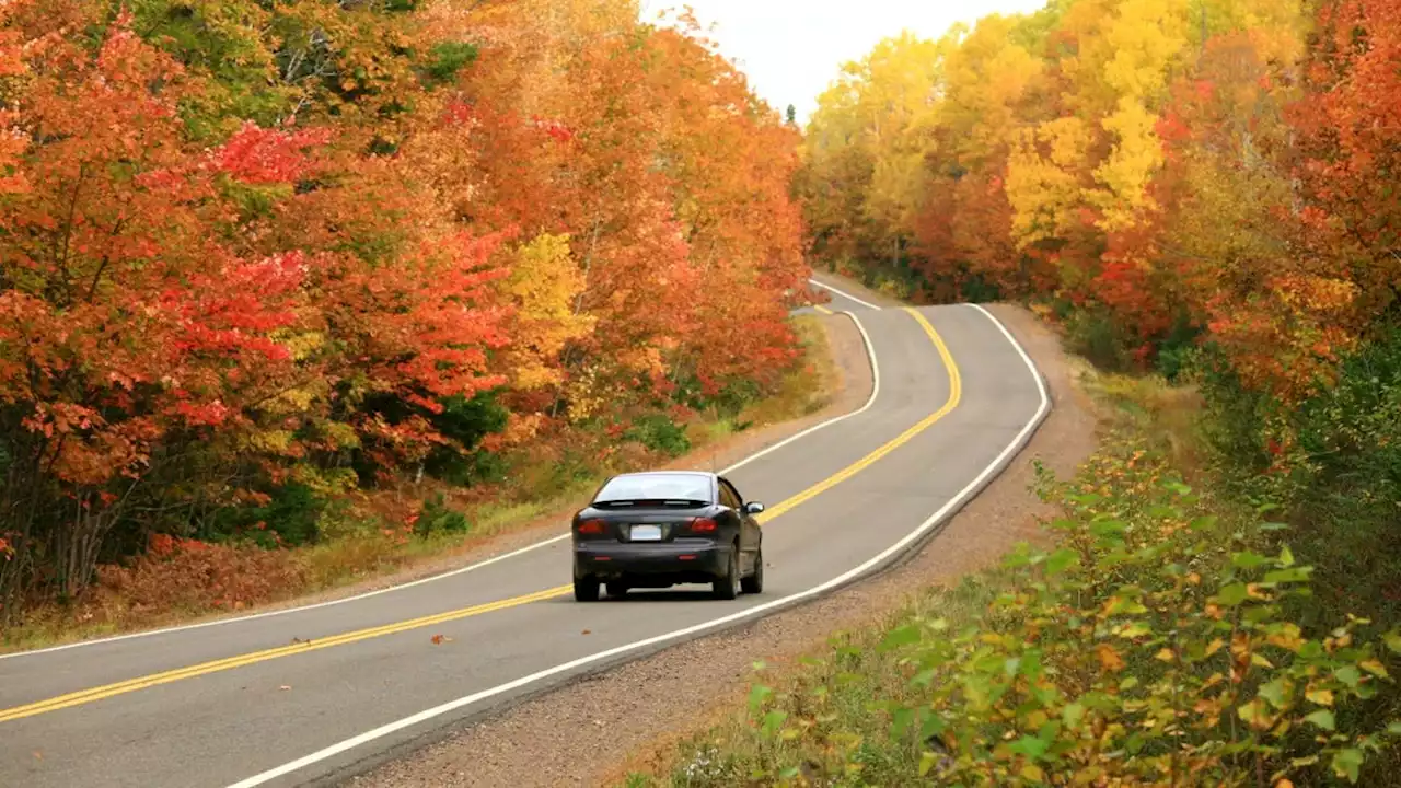 Buying a car now means you'll likely be underwater soon, analysts warn. Here's why.